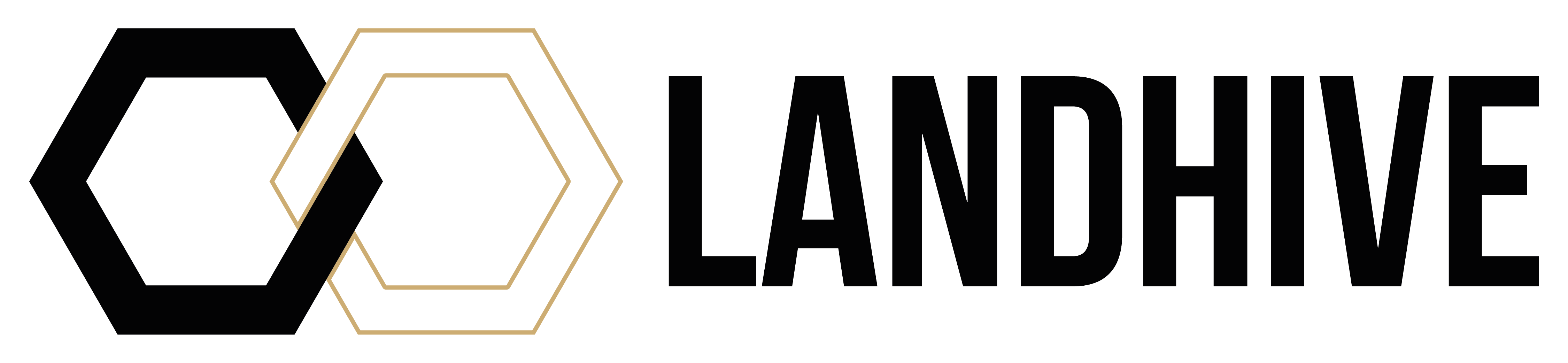 LANDHIVE logo